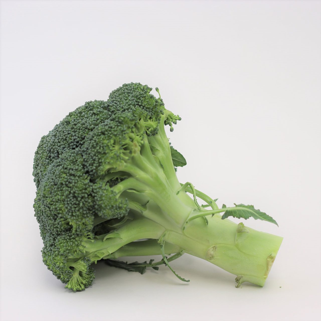 Fresh Veg Delivery Fresh Veg Near Me Veg Box Subscription