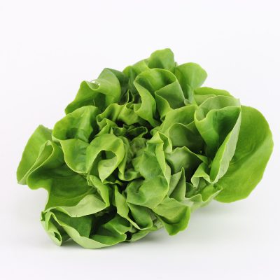 Flat leaf lettuce