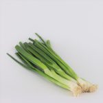 Spring Onion