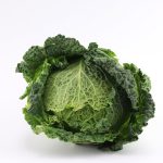 Savoy Cabbage