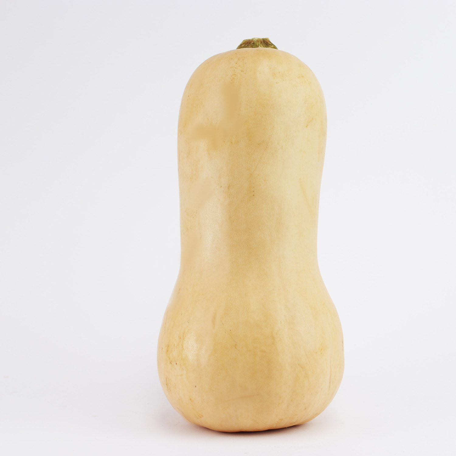 Butternut squash