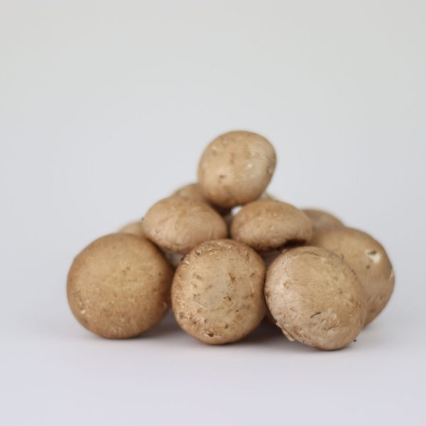 Chesnutt Mushrooms