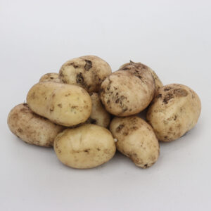 lancashire new potato